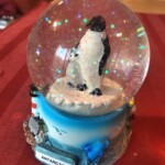 Antartica